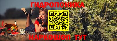 прущие крисы Конаково